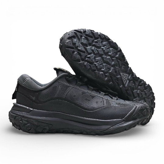 Sneakers ACG Mountain Fly 2 Low