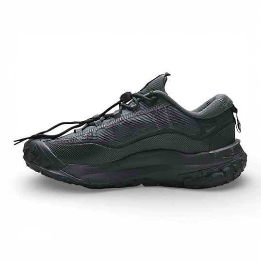 Sneakers ACG Mountain Fly 2 Low